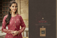 Virasat Royal Viscose Kurti Collection Design 3001 to 3006 Series (11)