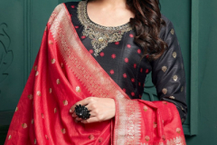 Virasat Rudraksh Designer Gown Design 1001, 1002 Series (1)