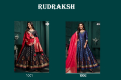Virasat Rudraksh Designer Gown Design 1001, 1002 Series (4)