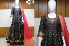 Virasat Rudraksh Designer Gown Design 1001, 1002 Series (6)