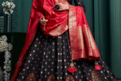 Virasat Rudraksh Designer Gown Design 1001, 1002 Series (8)