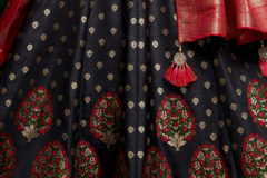 Virasat Rudraksh Designer Gown Design 1001, 1002 Series (9)