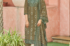 Vitara Fashion Canopus Viscose Kurti With Bottom & Dupatta Collection Design 1001 to 1004 Series (4)