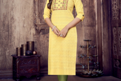 Viza Lifestyle Princess Cotton Self Weaving Kurti Collection Design 1001 to 1004 Series (7)
