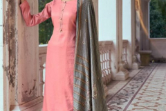Volono Trendz Elan Vol 3 Pashmina Salwar Suit Design 3001 to 3007 Series (1)