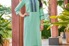 Woogle Sparkle Rayon Two Tone Straight Kurti Collection Design 1001 to 1006 Series (6)