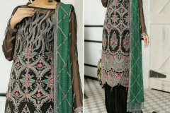 Zaha Maryam Georgette Pakistani Salwar Suits Design 10091 to 10094 Series (3)