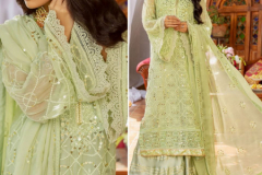 Zaha Naushad Imdad Georgette Embroidered Pakistani Suits Collection 10082 to 10085 Series (10)