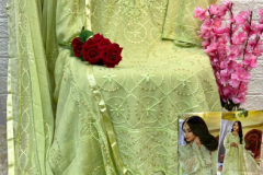 Zaha Naushad Imdad Georgette Embroidered Pakistani Suits Collection 10082 to 10085 Series (3)
