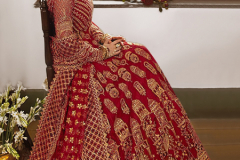 Zaina Vol 8 Designer Net Pakistani Salwar Suit Design 9000A to 9000D Series (1)